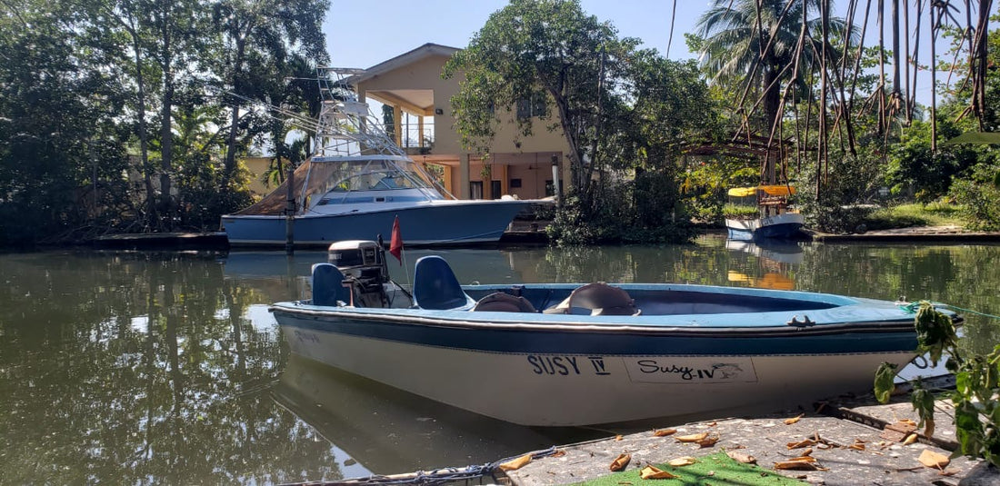 Barracudas en la Bahía de Omoa