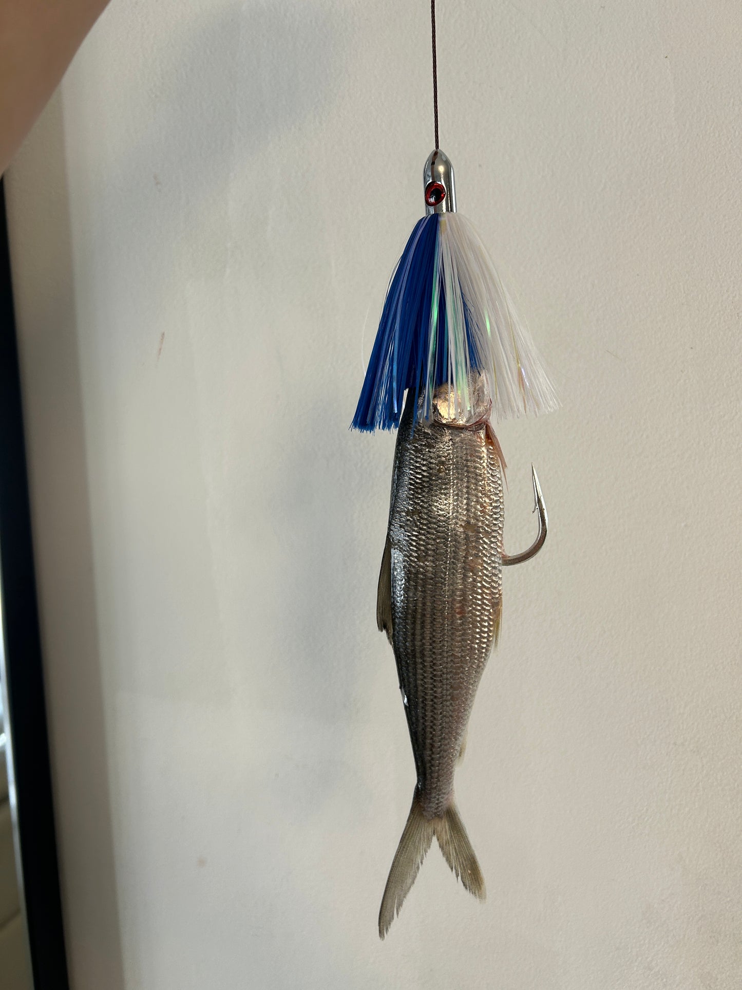 Falda Billy Baits Turbo Slammer SMALL 1oz – Señuelo trolling offshore de alto impacto