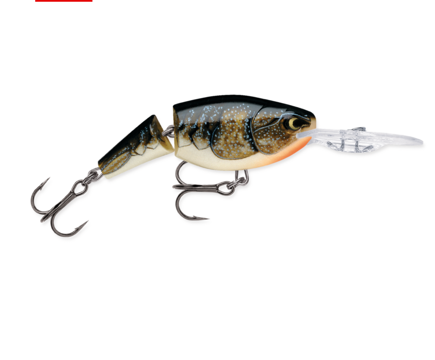 Rapala Jointed Shad Rap® JSR-5